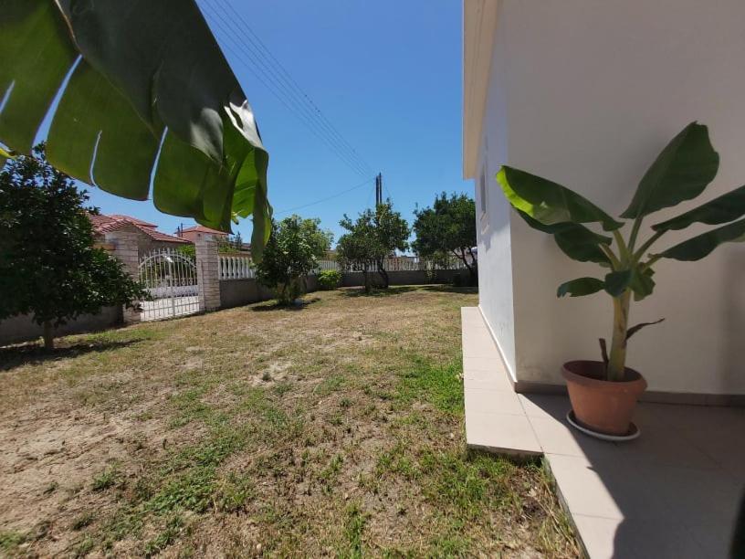 Konstantinos Apartments Ammoudia Buitenkant foto